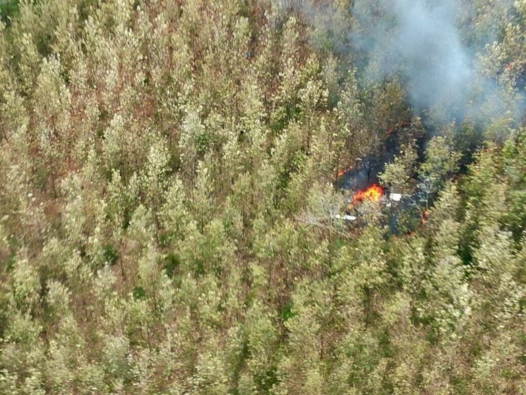 This photo released by Costa Rica's Public Safety Ministry shows smoke rising from the site of a plane crash in Punta Islita, Guanacaste, Costa Rica, Sunday, Dec. 31, 2017. A government statement says there were 10 foreigners and two Costa Rican crew members aboard the plane belonging to Nature Air, which had taken off nearby.