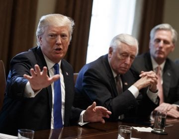 President Donald Trump speaks during a meeting with lawmakers on immigration policy in the Cabinet Room of the White House, Tuesday, Jan. 9, 2018, in Washington. From left, Trump, Rep. Steny Hoyer, D-Md., and Rep. Kevin McCarthy, R-Calif.