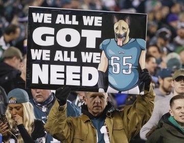 Fans watch warm ups before the NFL football NFC championship game between the Philadelphia Eagles and the Minnesota Vikings Sunday, Jan. 21, 2018, in Philadelphia. (AP Photo/Matt Slocum)