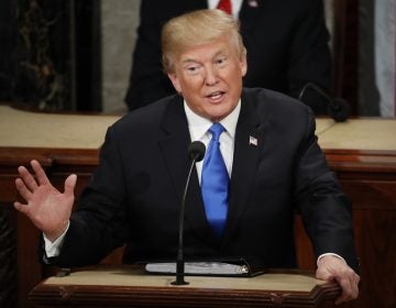 President Donald Trump delivers his State of the Union address to a joint session of Congress on Capitol Hill in Washington, Tuesday, Jan. 30, 2018. (Pablo Martinez Monsivais/AP Photo)