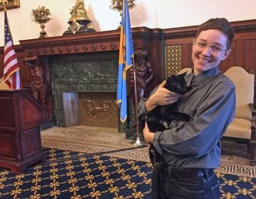 Guthrie Conygham, manger of ACCT’s off-site adoption unit, holds Missy, an adoptable kitten, at City Hall. (Kyrie Greenberg for WHYY)