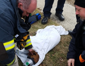 Neptune Township Office of Emergency Management Deputy Coordinator Michael DiLeo and Neptune Township EMS Manager Bil Rosen with a dog they resuscitated Friday in Neptune. 