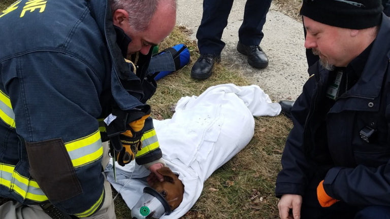 Neptune Township Office of Emergency Management Deputy Coordinator Michael DiLeo and Neptune Township EMS Manager Bil Rosen with a dog they resuscitated Friday in Neptune. 