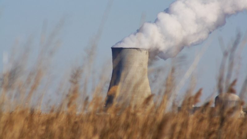 Salem Nuclear Power Plant as seen from the Blackbird Creek. (Brian Drouin/WHYY)