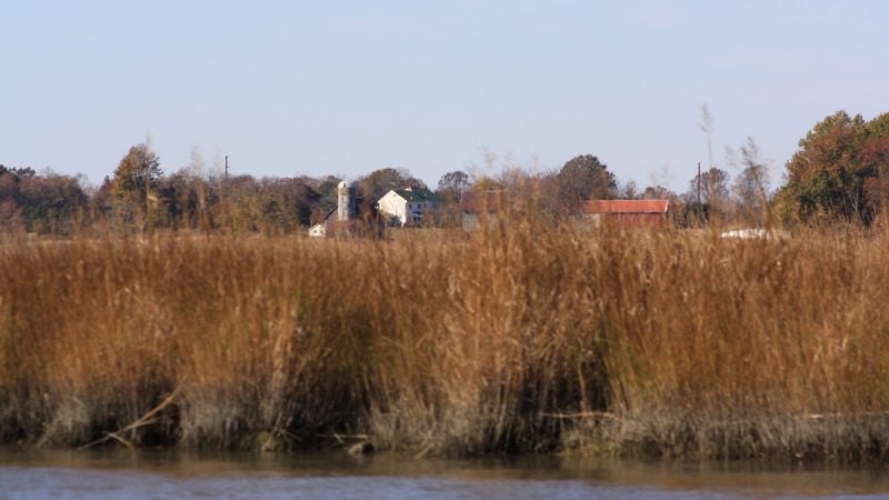 The Taylors Bridge Roberts Farm as seen from the Blackbird Creek (Brian Drouin/WHYY)