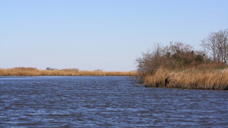 Blackbird Creek (Brian Drouin/WHYY)