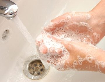 Woman Washing Hand Under Running