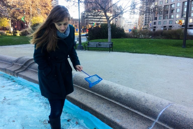 Isa Betancourt, an entomologist at Drexel University’s Academy of Natural Sciences, collects bugs. (Alan Yu/WHYY)