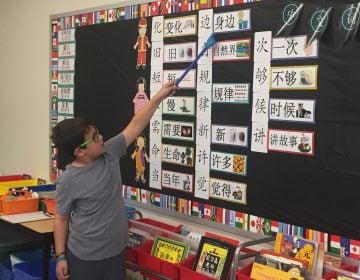 A six-year-old Chinese immersion program in Delaware elementary schools now has more than 1,000 students in kindergarten through fifth grade. Next year the initiative will expand to middle school. (Cris Barrish/WHYY)
