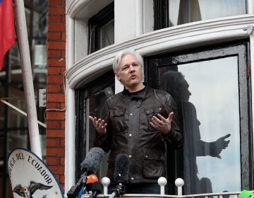 Julian Assange speaks to the media from the balcony of the Embassy of Ecuador on May 19, 2017, in London. (Jack Taylor/Getty Images) 