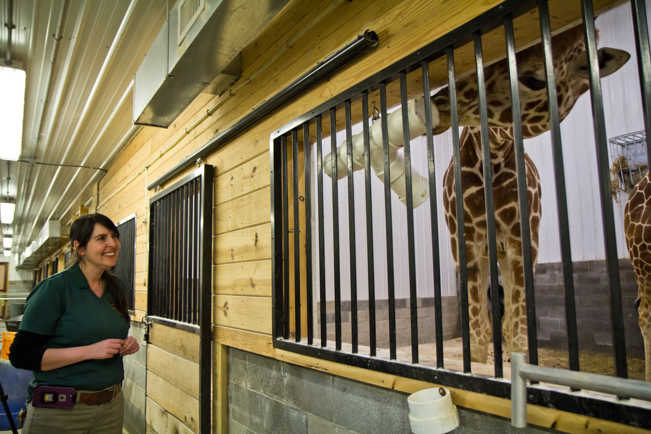 Marina Haynes, General Curator at the Elmwood Park Zoo in Norristown, says that zoo keepers do a lot more than clean animal cages. (