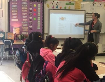 Spanish language immersion is thriving at Lewis Elementary in Wilmington and 25 traditional Delaware elementary schools, plus two charter schools. (Cris Barrish/WHYY)