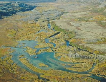 The Upper Tularik Floodplain in the Bristol Bay watershed in Alaska is the site of a fight over a proposed mining project has dragged on for years.