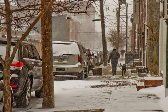 A black lab gets a walk through the snow on Thursday morning. (Kimberly Paynter/WHYY)