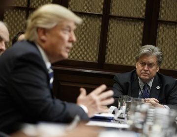 White House Chief Strategist Steve Bannon listens at right as President Donald Trump speaks during a meeting