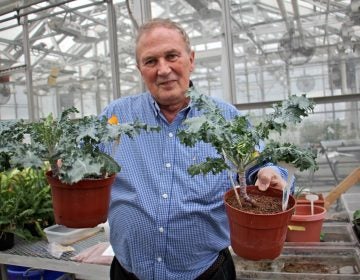 Ed Guinan, a professor of astrophysics and planetary sciences at Villanova University, holds two kale plants grown by his undergraduate students, one grown in Earth soil (left) an the other in a 50 percent mix with Martian soil (right). The kale attempted in 100 percent Martian soil perished.