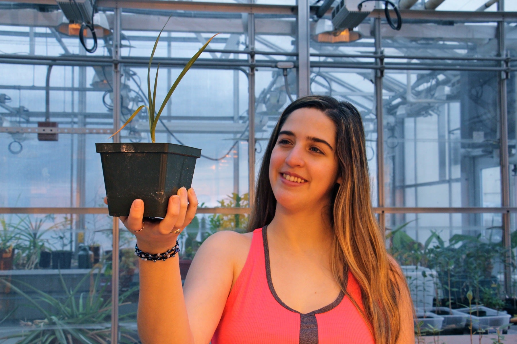 Villanova dyufrny Giannina Guzman holds a garlic plant she grew in Mars simulant, a mix that approximates the soil found on the surface of Mars.