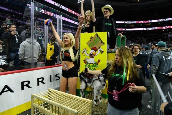 A goat and live chicken are part of a float caring a contestant during the annual Wing Bowl competition, at the Wells Fargo Center, on Friday. (Bastiaan Slabbers for WHYY)