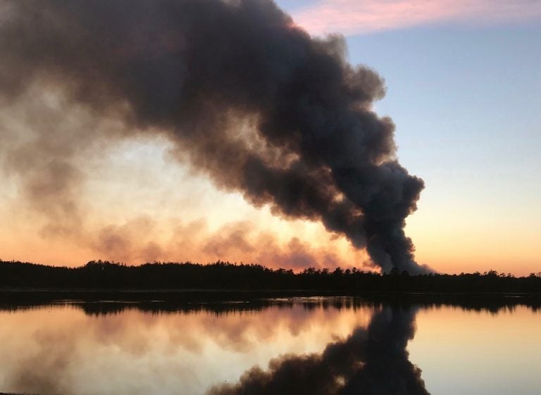 A smoke column from a forest fire in Manchester in February 2017. Smoke from yesterday's forest fire in Manchester. (Image: JSHN contributor Mike Logger)