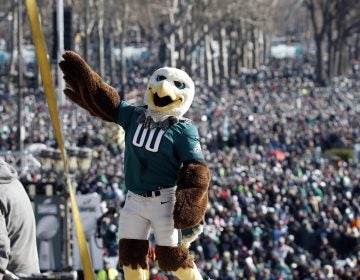 Philadelphia Eagles mascot 
