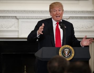 President Donald Trump speaks during a meeting with the members of the National Governors Association