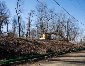 The Mariner East 2 pipeline has officially broken ground in the Delaware County town of Aston. The beginning stages of the pipeline includes clear cutting trees and preparing makeshift roads for the heavy machinery to traverse. (Emily Cohen for StateImpact Pennsylvania)