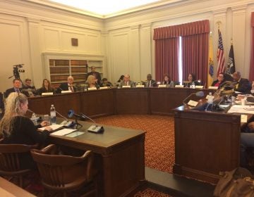 Allison Pereira testifies Tuesday at an New Jersey Assembly Education Committee hearing. (Phil Gregory/WHYY)