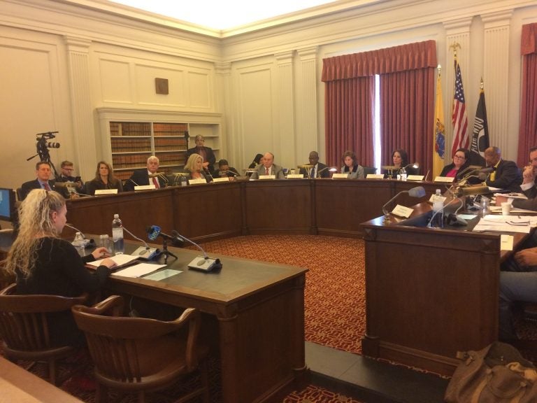 Allison Pereira testifies Tuesday at an New Jersey Assembly Education Committee hearing. (Phil Gregory/WHYY)