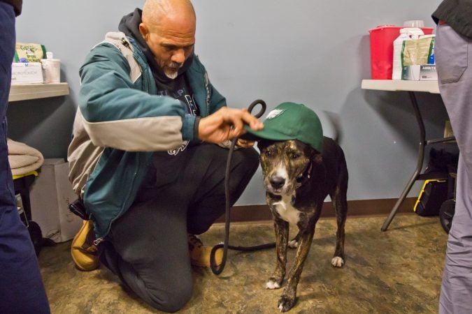 Owner Darryl Gibson prepares his dog Zola to cheer for the Philadelphia Eagles at the Delaware Humane Association’s free clinic at the Henrietta Johnson Medical Center in Wilmington. (Kimberly Paynter/WHYY)