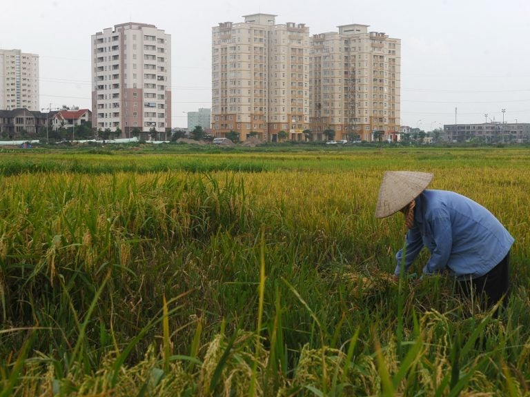 Vietnam is the only country that comes even close to delivering the good life in a sustainable way. Above: rice fields on the outskirts of Hanoi.
(Hoang Dinh Nam /AFP/Getty Images)