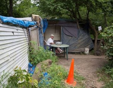 Dave Ritchie, a plumber by trade, lives in a self-made shack in the Pennsylvania woods. (Lindsay Lazarski/WHYY) 