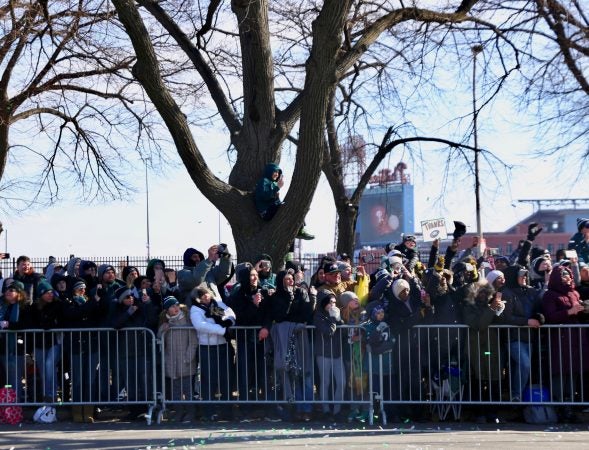 Fans cheer on the Philadelphia Eagles as they make their way on Broad Street.