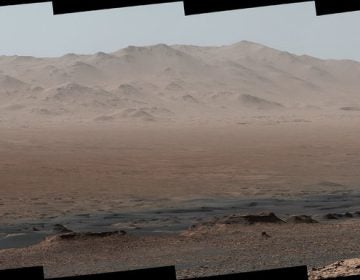 NASA's Mars rover Curiosity took photos from the Vera Rubin Ridge showing the interior and rim of Gale Crater. The full image features 16 photos stitched together.
(NASA/JPL-Caltech/MSSS)