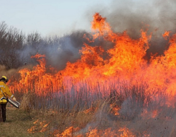Image: NJFFS Section B10