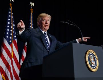 President Donald Trump. (Evan Vucci/AP)