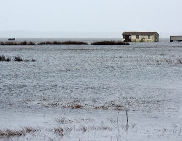 The month's fourth strong nor'easter storm has brought some wind, rain, and beach erosion along with minor flooding to Rehoboth Beach and Dewey Beach and Indian River Inlet, Wednesday March 21, 2018.
(Chuck Snyder/for WHYY)