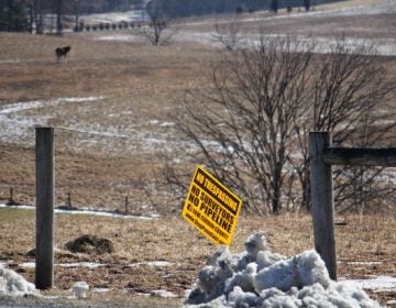 A sign on farmland near Palmerton in northeast Pennsylvania shows local opposition to the PennEast pipleline. In order to build the pipeline, PennEast Pipeline Co. is trying to seize through eminent domain some lands that are under farmland preservation.