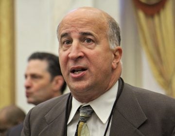 City Councilman Mark Squilla plans to introduce a bill to set best practices
for identifying and removing lead paint within Philadelphia school buildings. (Emma Lee/WHYY)