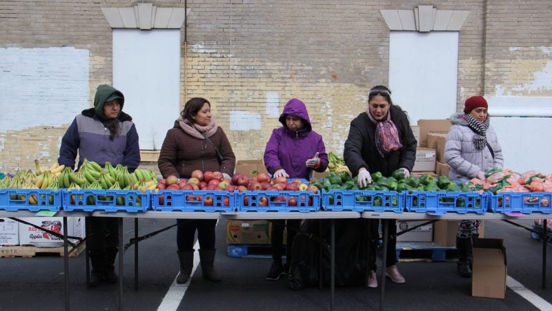 Volunteers set up for the Philabundance free farmers market at Lillian Marrrero Library. (Emma Lee/WHYY)