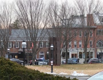 The front of Panera Bread is visible from Princeton University's campus. (Alan Tu/WHYY)