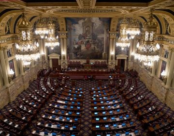 The bill under consideration would shrink the Pa. State House from 203 to 151 members. (AP Photo/Matt Rourke)