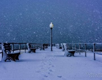 Snow falling early Tuesday morning at the Ocean Grove pier. (Image: John Entwistle Photography )