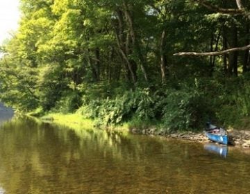 The Pennsylvania side of the Delaware River at the Delaware Water Gap. (Catalina Jaramillo/WHYY)