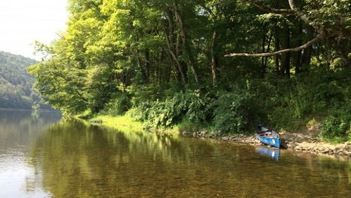 The Pennsylvania side of the Delaware River at the Delaware Water Gap. (Catalina Jaramillo/WHYY)