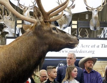 U.S. Interior Secretary Ryan Zinke looks on before speaking at the Western Conservation and Hunting Expo Friday, Feb. 9, 2018, in Salt Lake City. Zinke says he's taking steps to improve habitat and migration corridors in Western states for big-game animals such as elk, mule and deer.