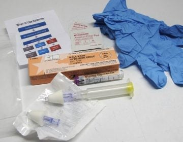 This May 13, 2015, file photo shows the contents of a drug overdose rescue kit at a training session on how to administer naloxone. (Carolyn Thompson/AP Photo, File)