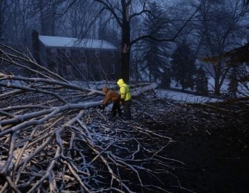 Streets department workers David Boardly, left, and James Ockimey clear a downed tree during a winter storm, Friday, March 2, 2018, in Marple Township, Pa.