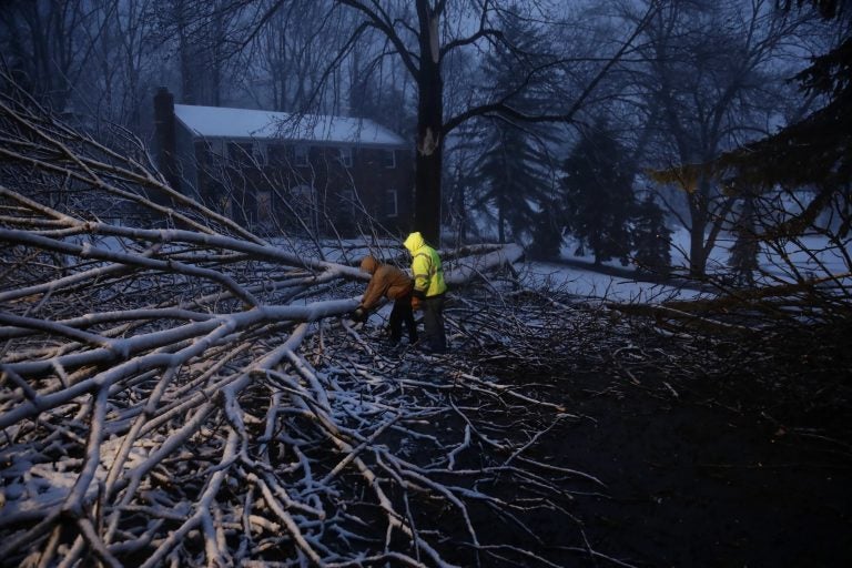 Streets department workers David Boardly, left, and James Ockimey clear a downed tree during a winter storm, Friday, March 2, 2018, in Marple Township, Pa.