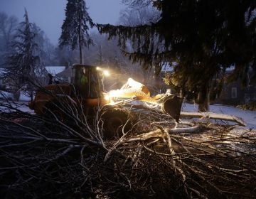 Streets department worker James Ockimey clears a downed tree during the storm Friday in Marple Township, Delaware County.  The nor'easter pounded the Atlantic coast with hurricane-force winds and sideways rain and snow, flooding streets, grounding flights, stopping trains and leaving 1.6 million customers without power from North Carolina to Maine. Tens of thousands of homes in the Philadelphia region were still without power Sunday. (AP Photo/Matt Slocum)