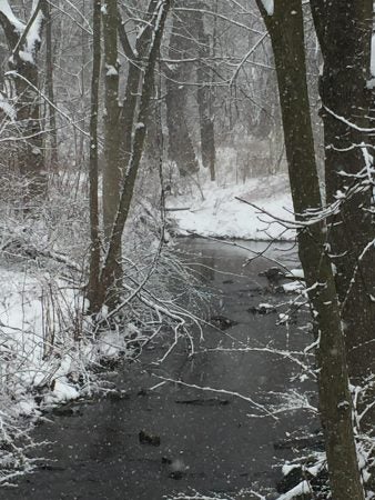 A small creek winds peacefully through Cheltenham Township as the snow flies. (Nora O'Dowd/WHYY)